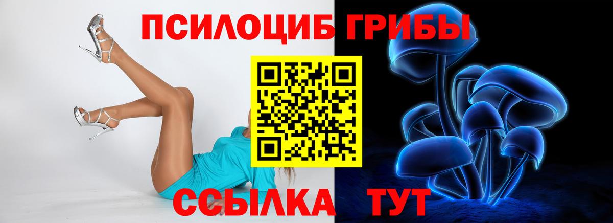 Щёлково  Галлюциногенные грибы мицелий  Вход с VPN  Псилоцибиновые грибы ЛСД 